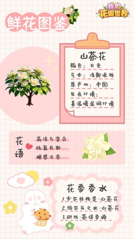 我的花园世界 第2张图