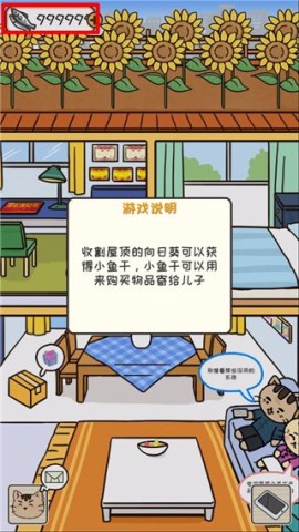 离家的猫 第1张图