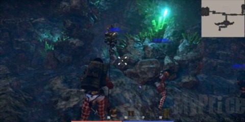 森林恶魔之子