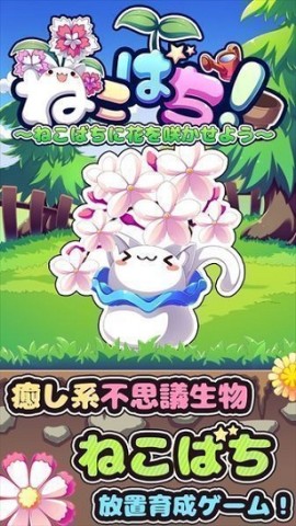 猫咪花盆 第1张图