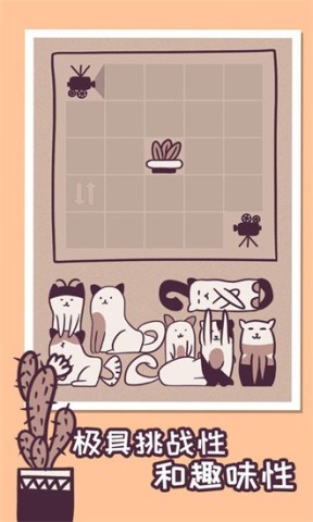井然有猫 第2张图