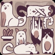 井然有猫