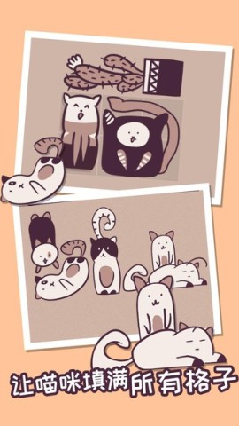 井然有猫