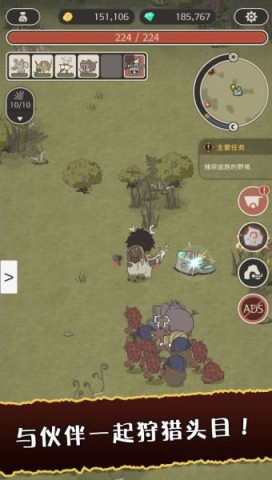 狂野驯兽师新纪元 第1张图