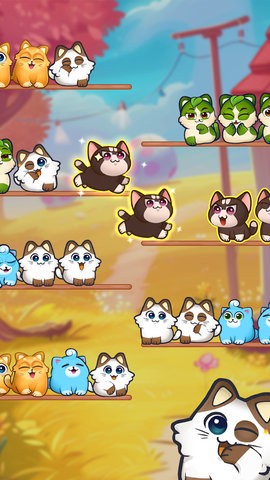 猫猫对对碰 第1张图
