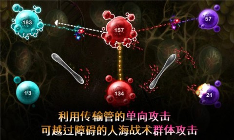 繁殖战争2免费版