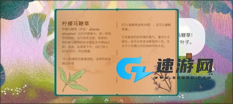 茶杯物语 第8张图