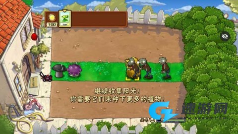 植物大战僵尸随机植物版手机版
