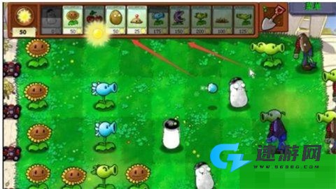 植物大战僵尸随机植物版手机版 第3张图