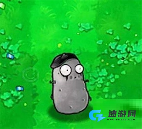 植物大战僵尸随机植物版手机版 第2张图
