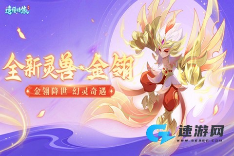 逍遥情缘