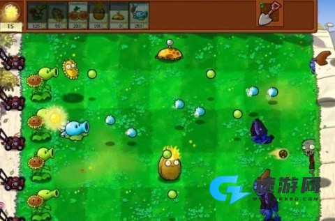 植物大战僵尸杂交版3.1