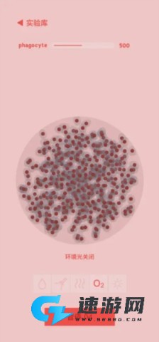微观micro 第1张图