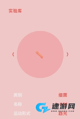 微观micro