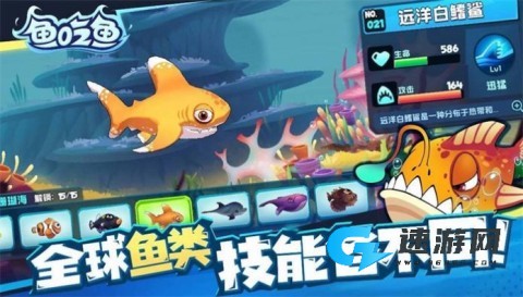 大鱼吞噬之路