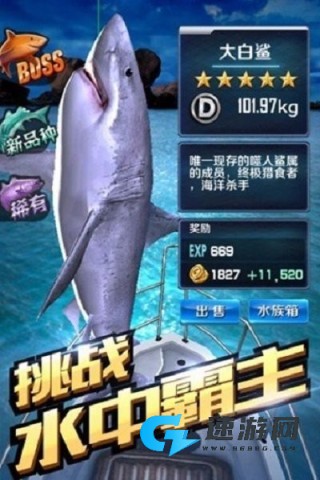 口袋钓鱼 第1张图