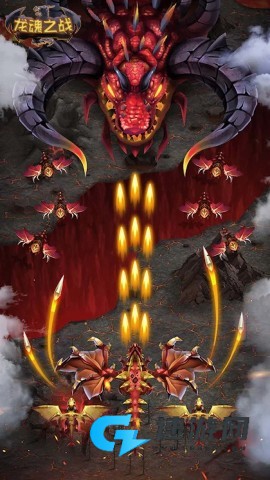 小小驯兽师