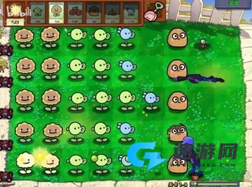 植物大战僵尸幼儿版 第2张图