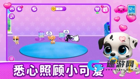 宠物小牧场