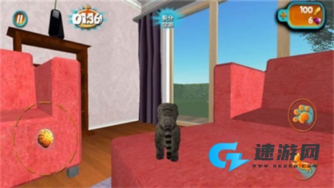 奶奶贴心小猫