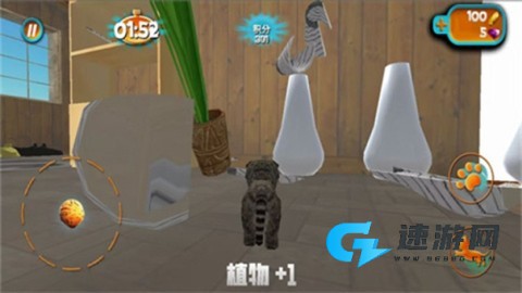 奶奶贴心小猫