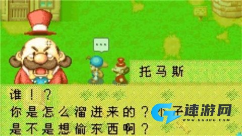 牧场物语矿石镇的伙伴们
