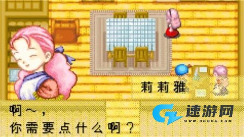 牧场物语矿石镇的伙伴们