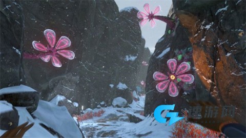 美丽水世界