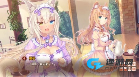 猫娘乐园汉化版