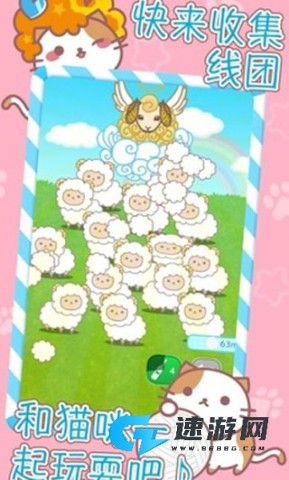 爆炸头猫