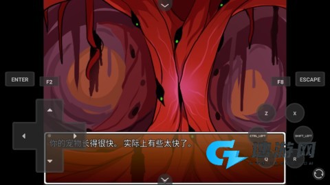 家养宠物