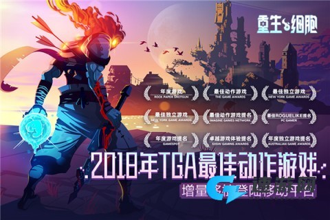 死亡细胞