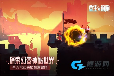 死亡细胞