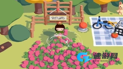 终极生存之岛