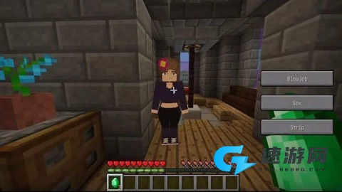 珍妮模组 第5张图