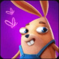 我的兔子兄弟 我的兔子兄弟