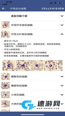 cellatlas 第2张图