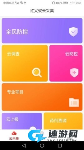 红火蚁 第2张图