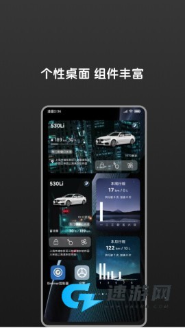 bimmer控制器手机版