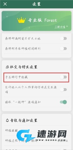 Forest专注森林 第10张图