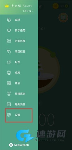 Forest专注森林 第9张图