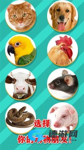 Pet Translator动物翻译器 第2张图