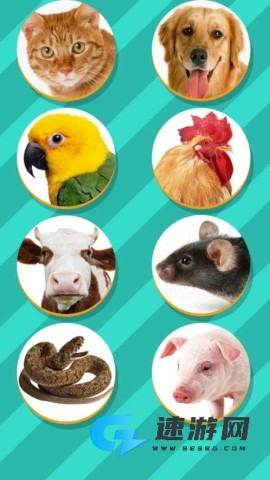 Pet Translator动物翻译器