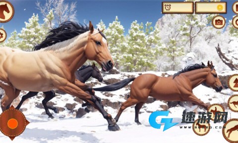 养马模拟器