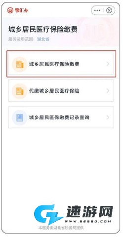 鄂汇办app官方2026版 第10张图