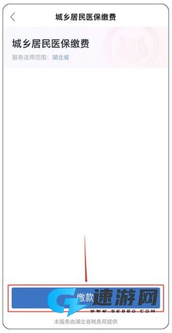 鄂汇办app官方2026版 第11张图