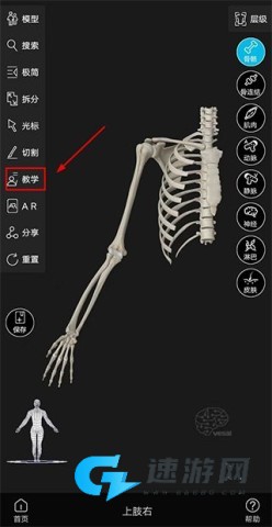 解剖大师 第3张图