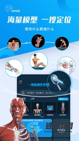 解剖大师 第2张图