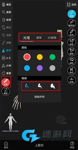 解剖大师 第4张图