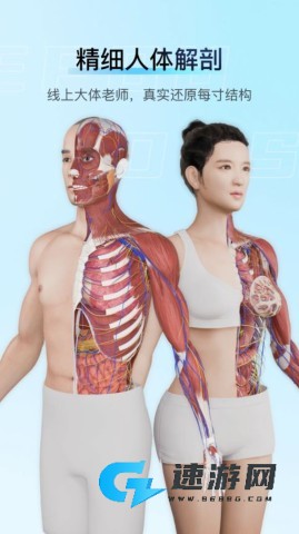 解剖大师 第1张图